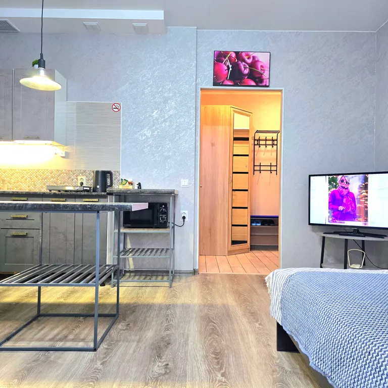 Современная уютная студия