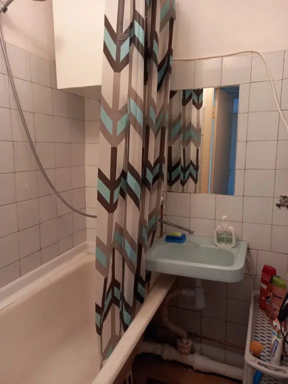 Рыбки-котики