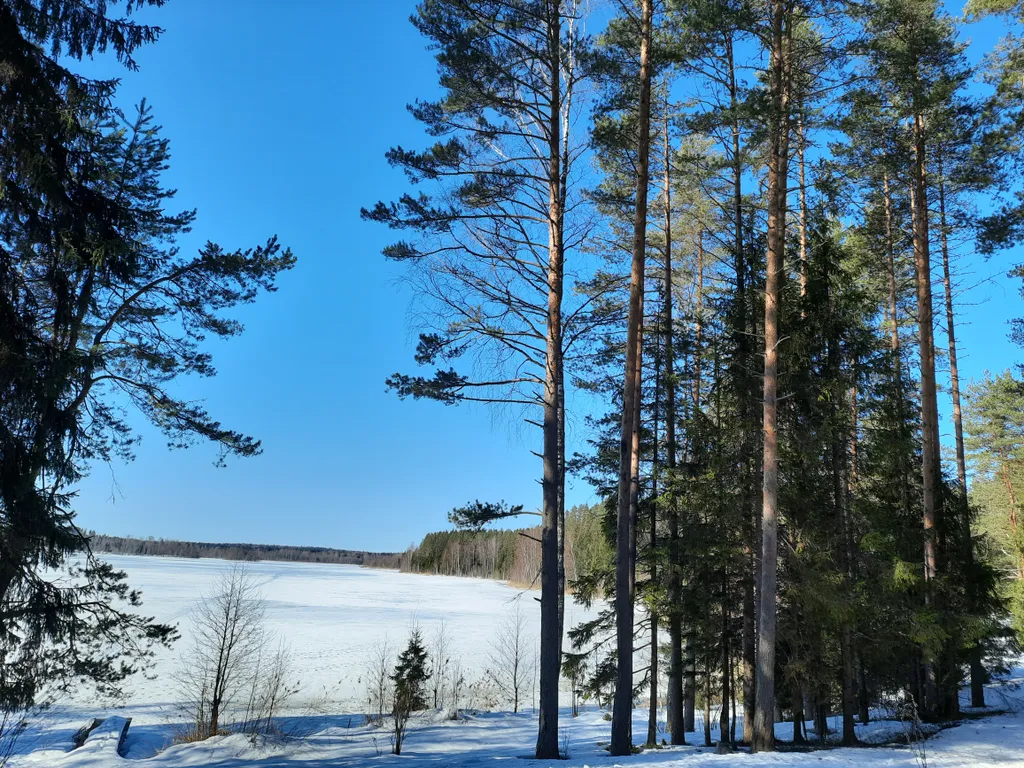 Домик с видом на озеро