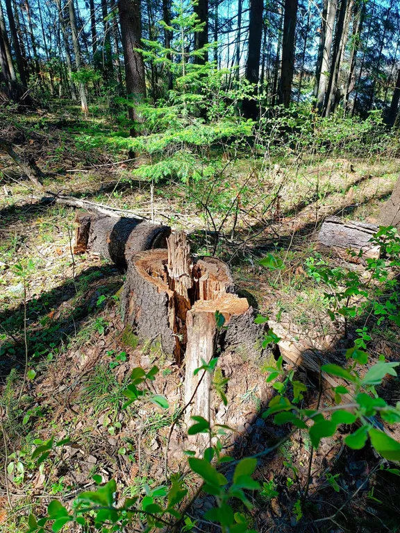 Гостевой дом счастье любит тишину