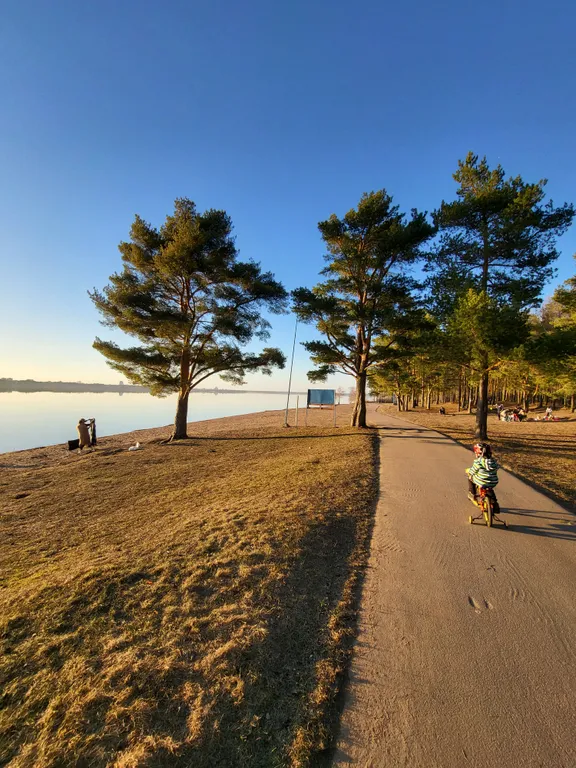 Стильный дом у озера Разлив