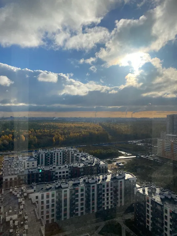Cтудия с видом на Орловский заказник