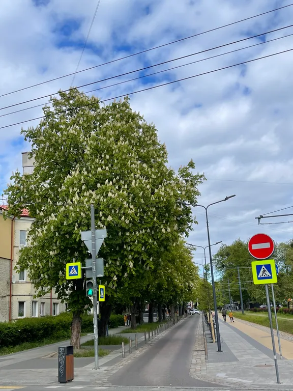 Квартира Уютная квартира в историческом центре города — Калининград