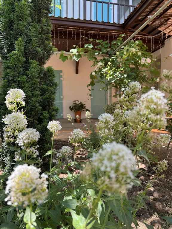 Квартира Комната — Береговое (Бахчисарай)