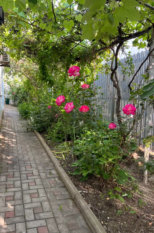 Уютный дом в центральном районе Геленджика