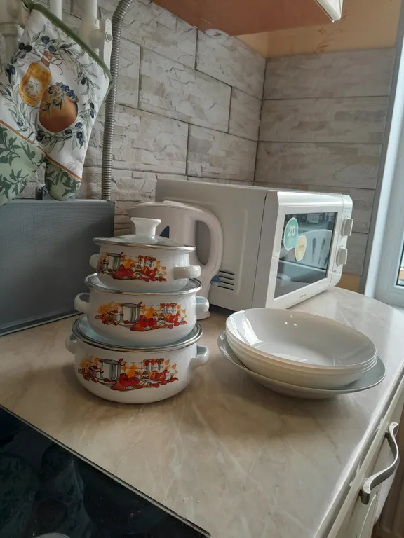 Квартира Уютная квартира недалеко от моря — Светлогорск