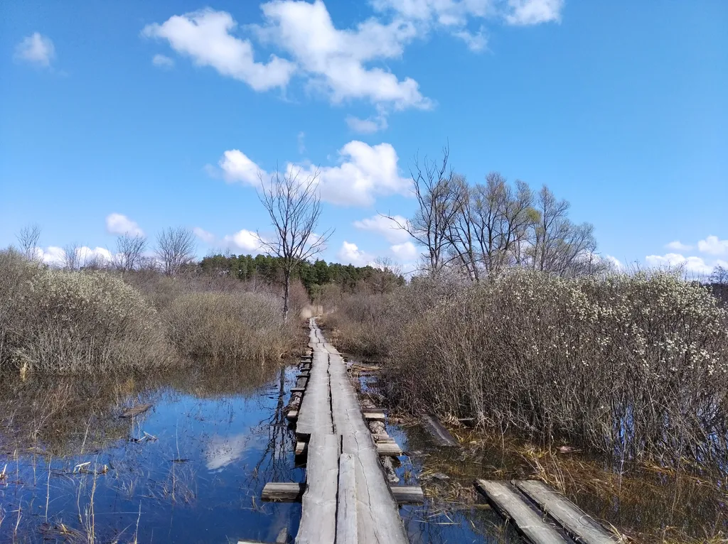 Лесной домик за рекой