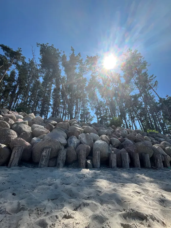 Апартаменты Лаванда