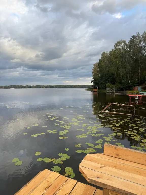 Коттедж Дом в Чечевичах На берегу — аренда посуточно в Могилёв