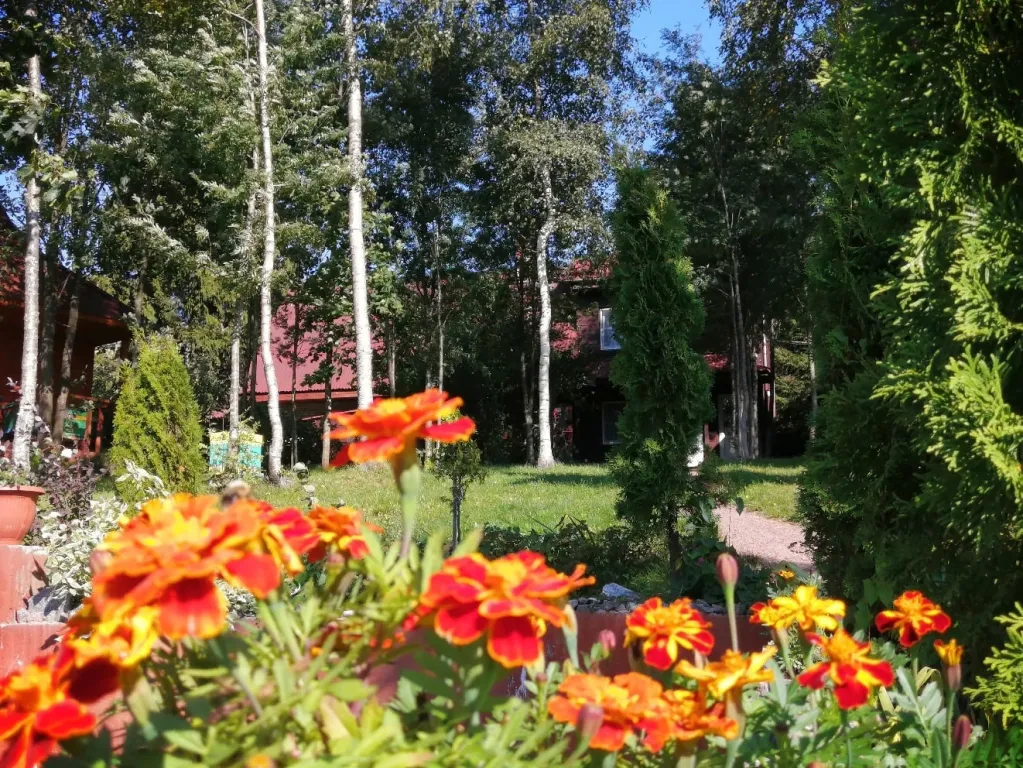 Коттедж Рябиновый домик с видом на лес и реку — Агалатово