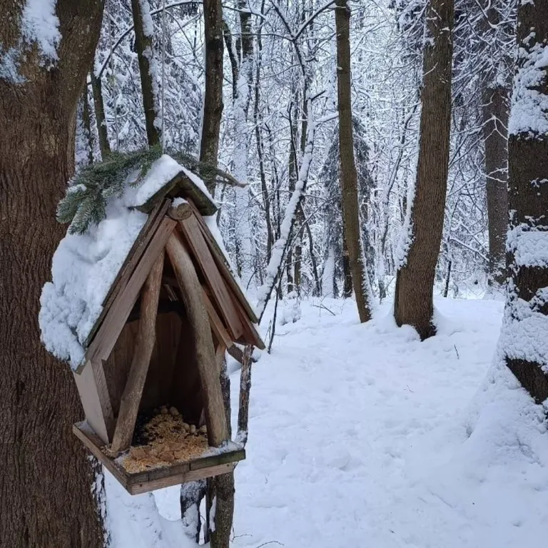 Студия с видом на Шуваловский парк