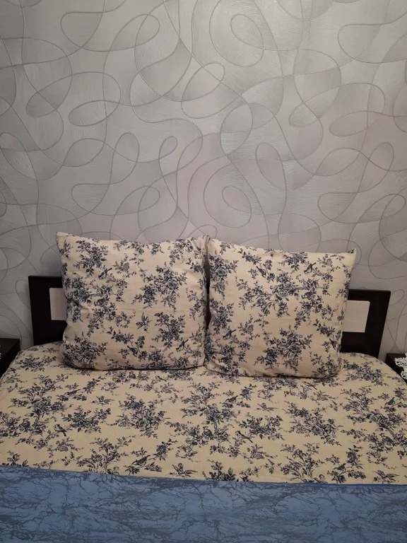 Уютная квартира в самом центре города напротив места основания города