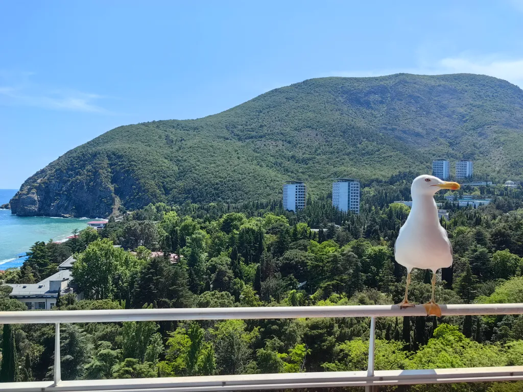 Квартира Аппартаменты с видом на море — аренда посуточно в Партенит