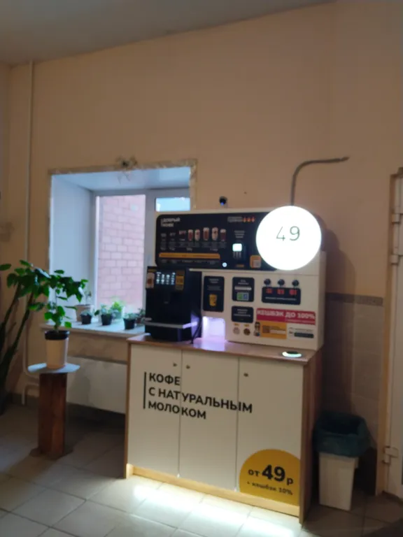 Просторная квартира у леса