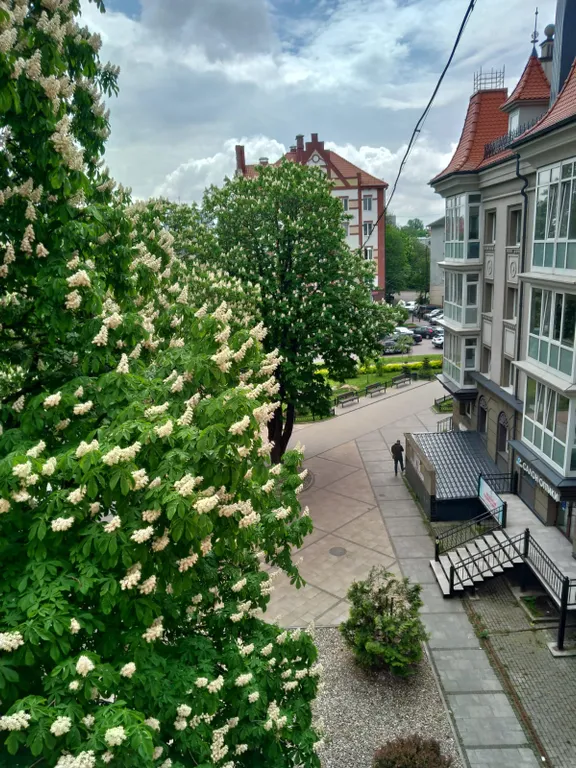 Квартира Уютная квартира в центре Калининграда — Калининград