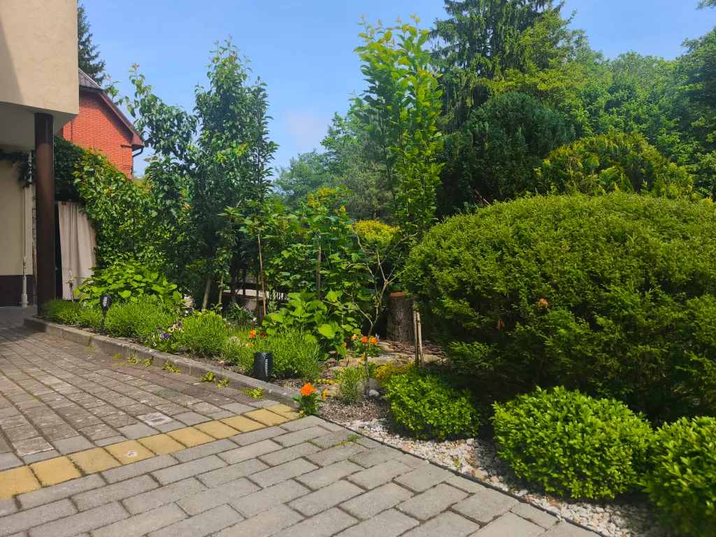 Квартира Квартира Студия с выходом на лужайку — Светлогорск