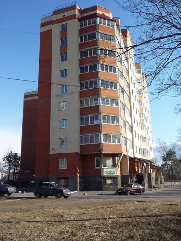 Квартира 1-комнатная Квартира — Луга