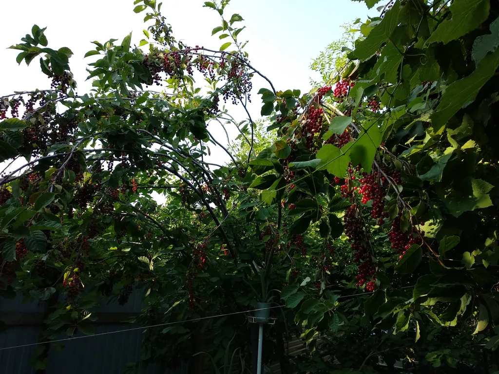 Дом комфорт