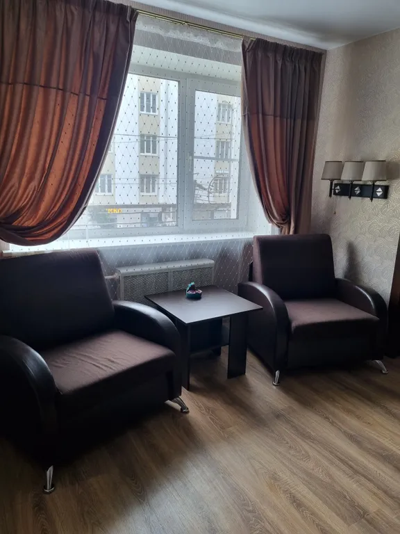 Bon Voyage уютная квартира в центре Петрозаводска