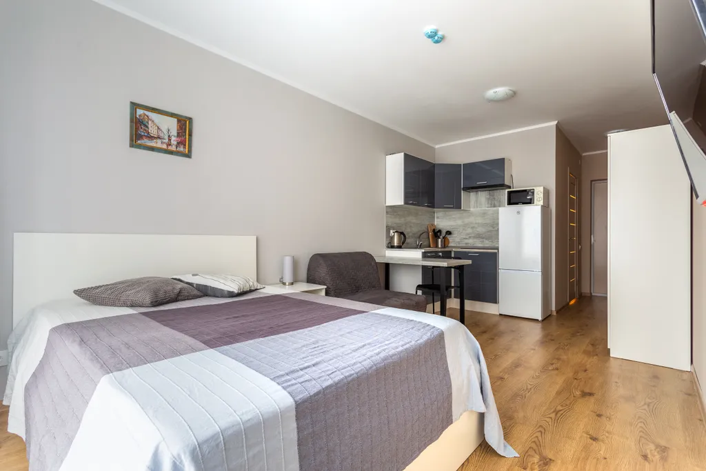 Студия у метро Парнас