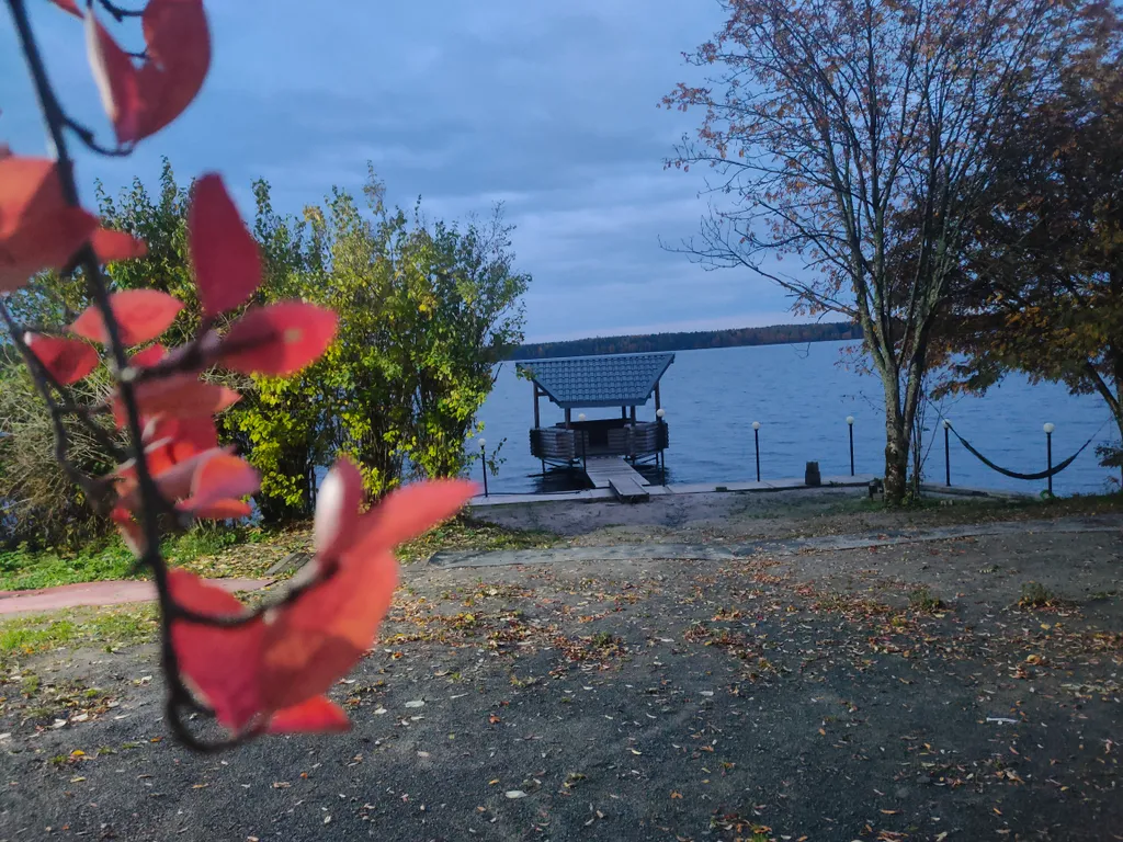 Дом на берегу озера без соседей