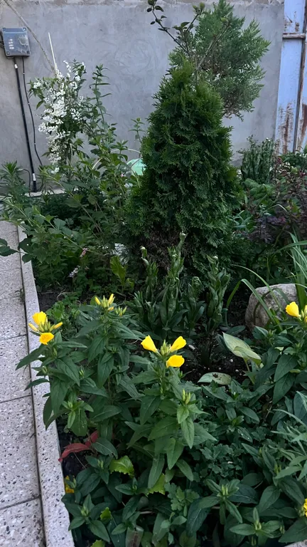 Уютная комната во дворе частного дома