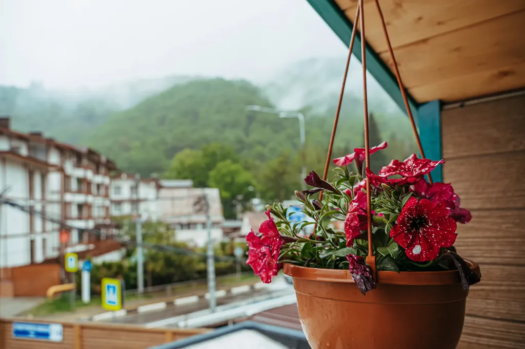 Апартаменты Green Berg