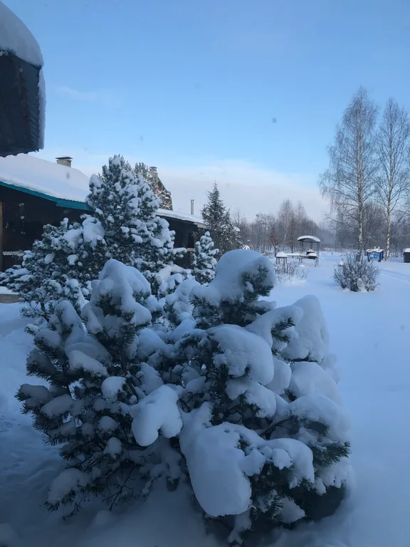 Уютный дом с камином в тихом живописном месте