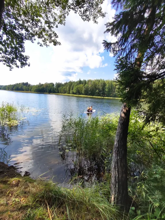 Уединённый хутор в лесу у реки с баней и камином