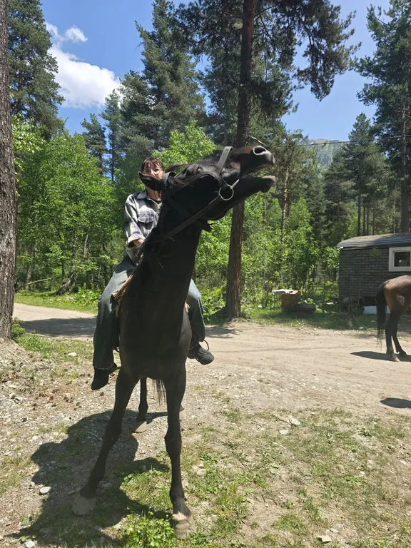 Коттедж Коттедж Лес хрустальной песни — Архыз