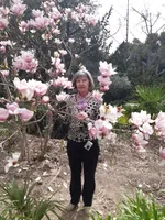 Галина Гальчинская