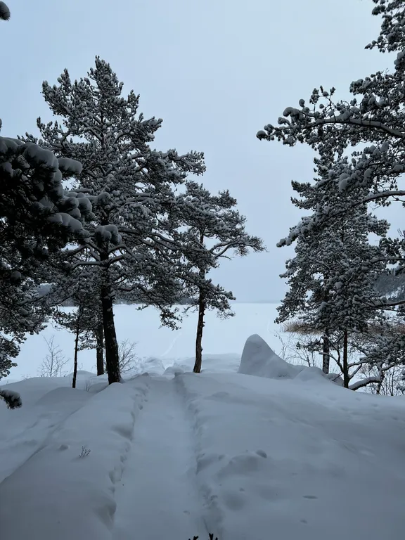 Стильный дом на берегу Ладожского озера с панорамным видом