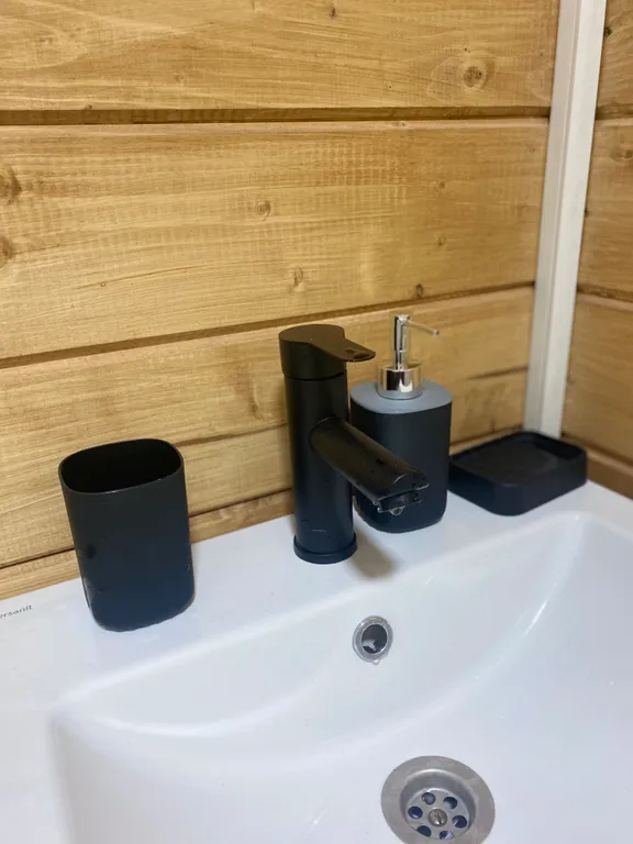 Дом в сосновом лесу