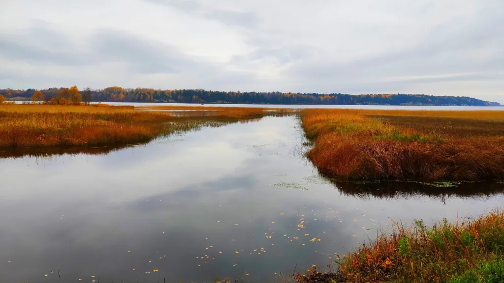 Коттедж Дом Теремок на берегу озера в Карелии с сауной — Верховье