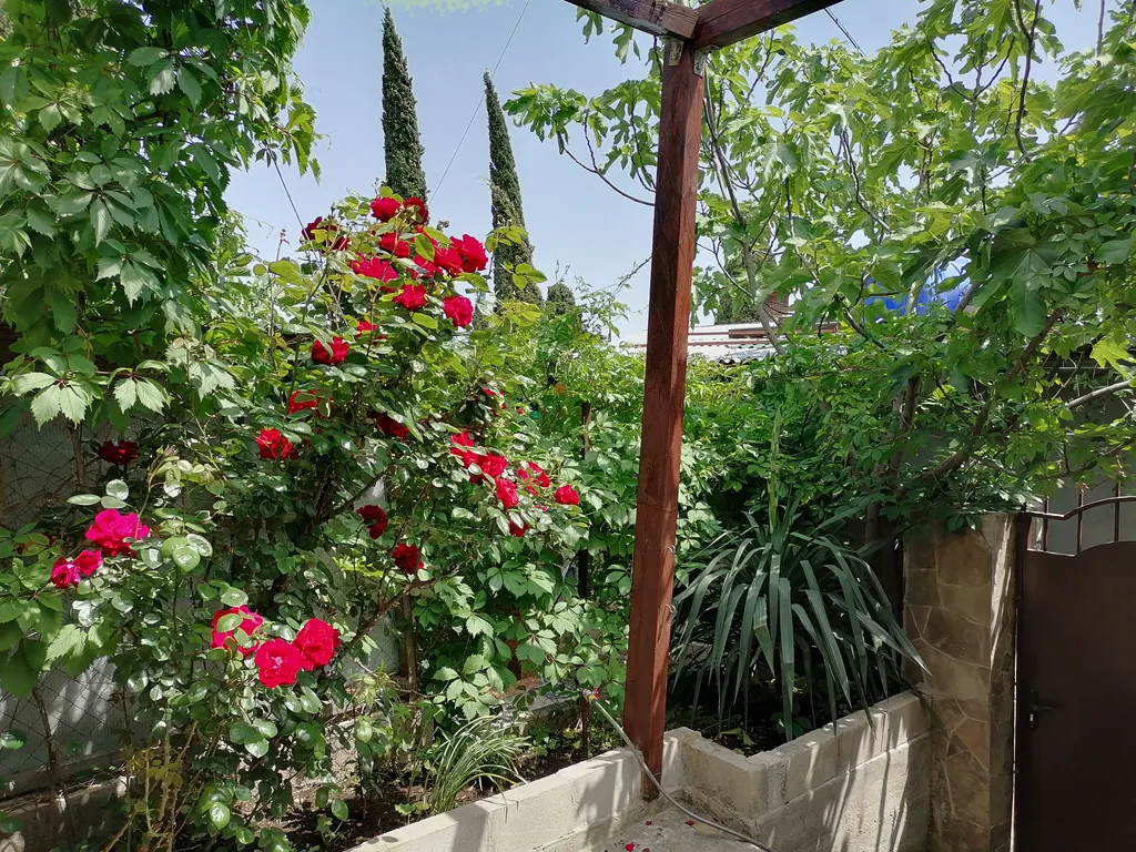 Уютный апартамент в Симеизе с большим собственным двором под ключ