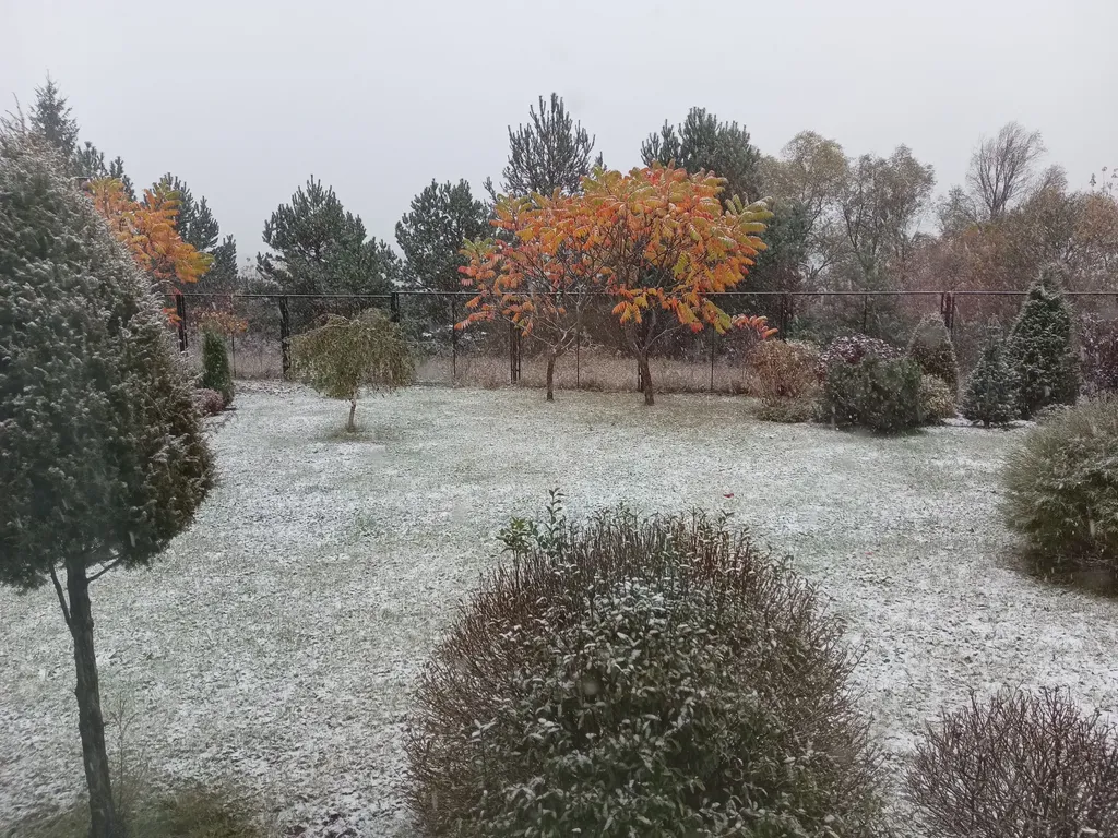 Дом для семейного отдыха в национальном парке Угра