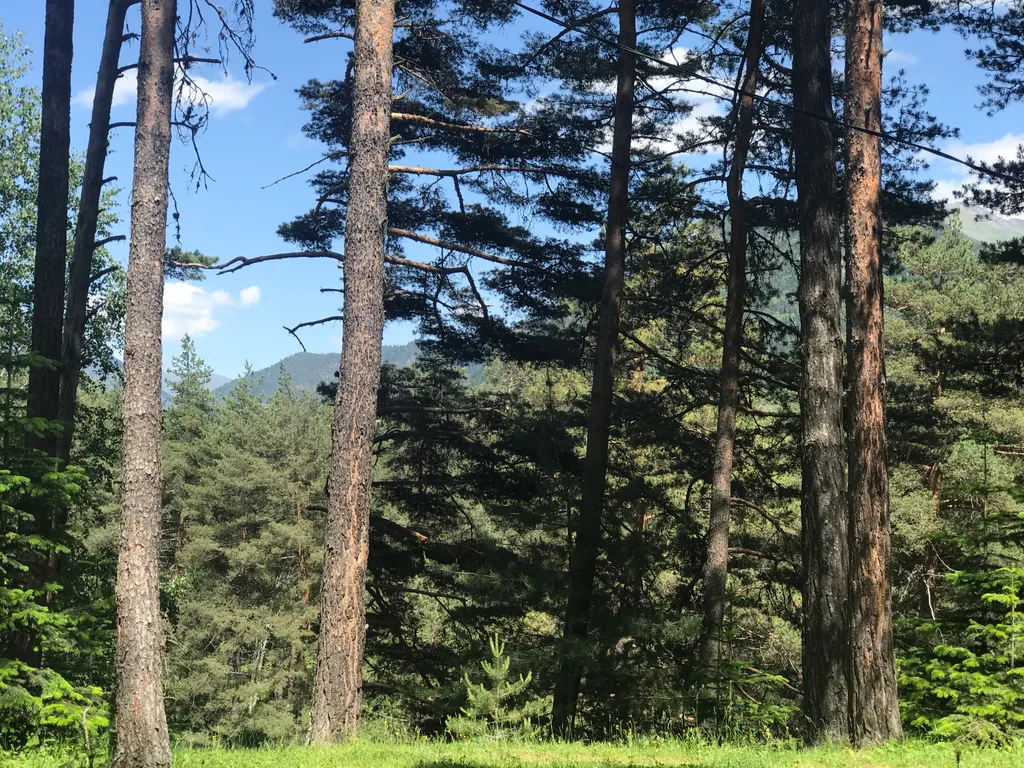 Коттедж Четырёхместный дом с видом на горы — Архыз