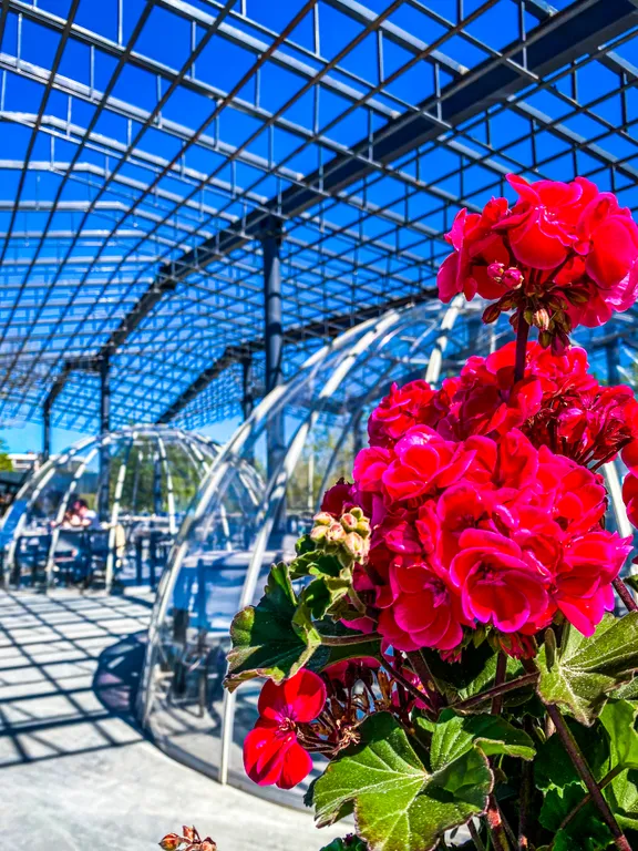 Коттедж с отдельным входом и видом на сад