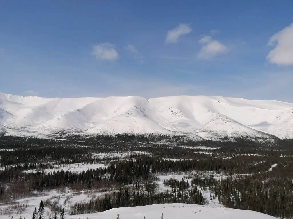 Квартира 3-комнатная Квартира — Кировск