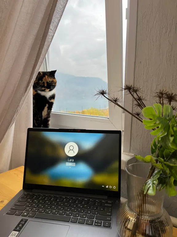 Уютная квартира с шикарным видом на горы и озеро