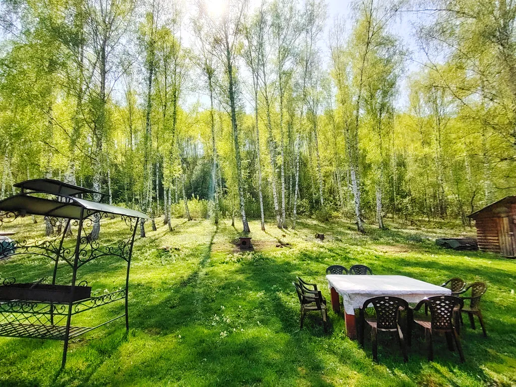 Благоустроенный дом 100кв.м с березовым лесом на территории.