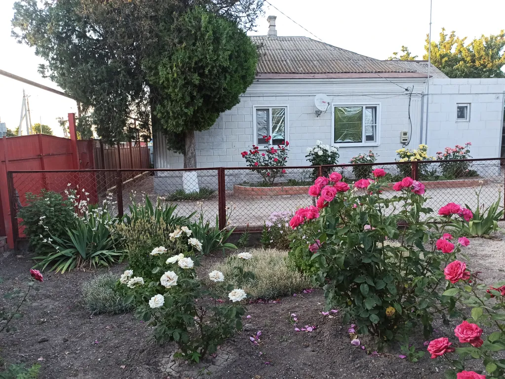 Отдельный дом без хозяев