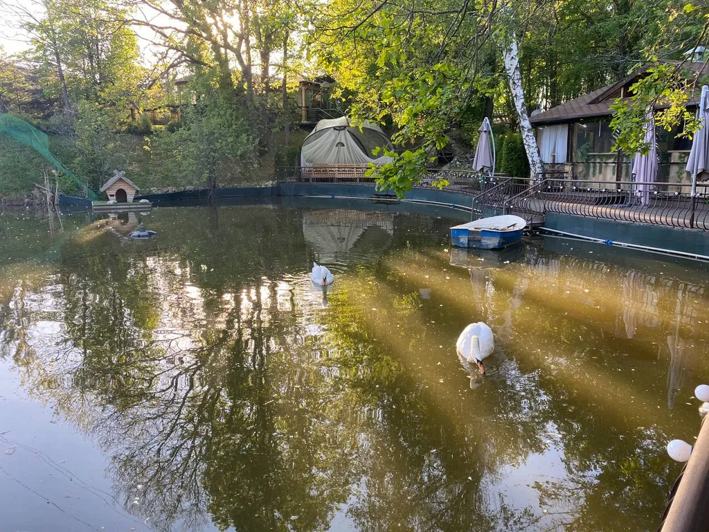 Коттедж Домик у реки в окружении сосен с камином, сауной и чаном — Семеновское