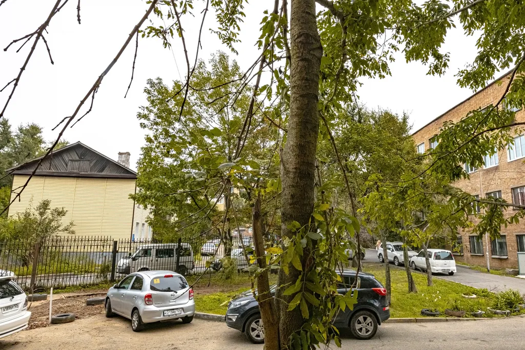 Уютная студия в районе бухты Федорова