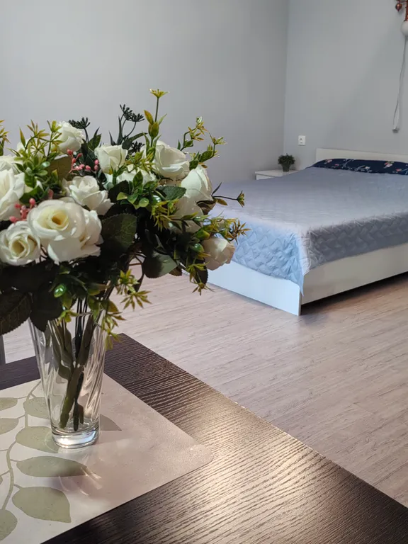 Квартира Уютная студия в ЖК Некрасовский — аренда посуточно в Звенигород