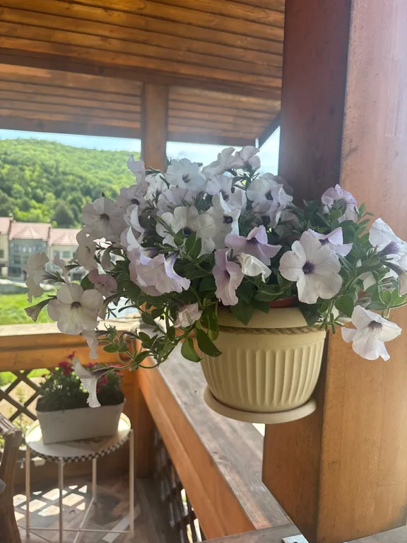 Гостевой дом в стиле шале Фрау Абрау