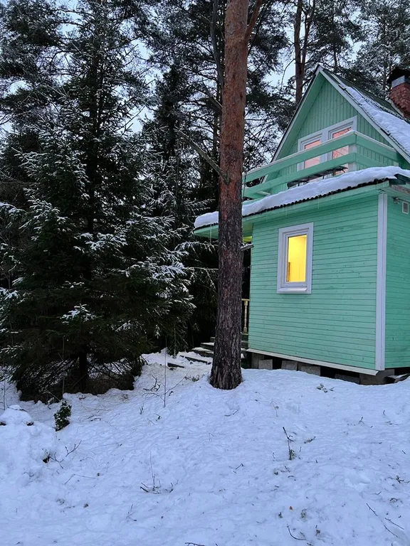 Лесная сказка на берегу Ладоги