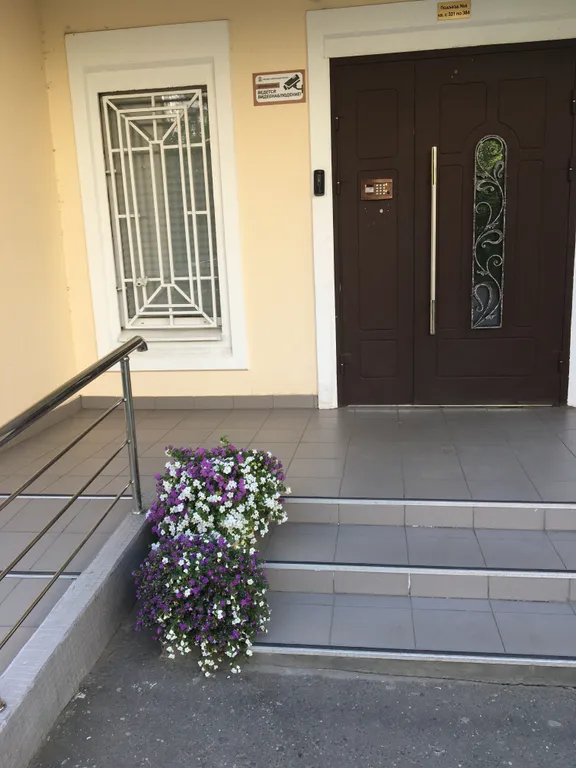 Евротрешка возле Крокус Экспо у моста к метро Мякинино