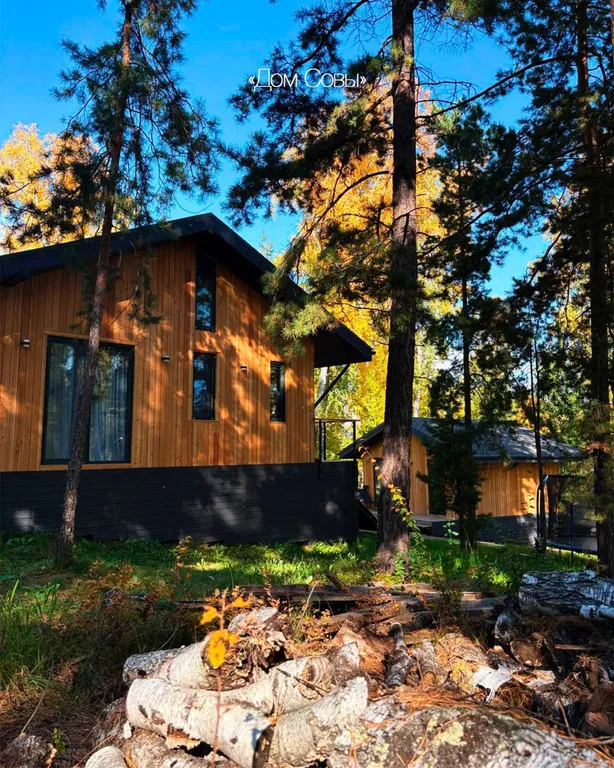 Дом Совы на вершине города