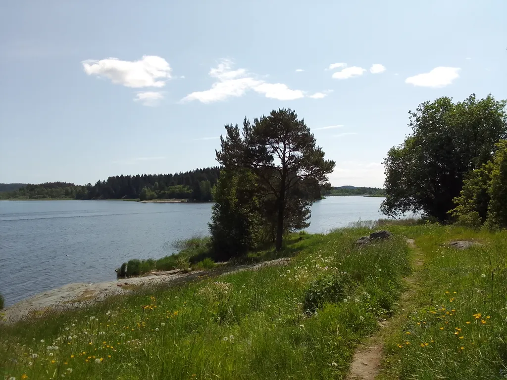 Дом "Карельская береза" недалеко от центра города.